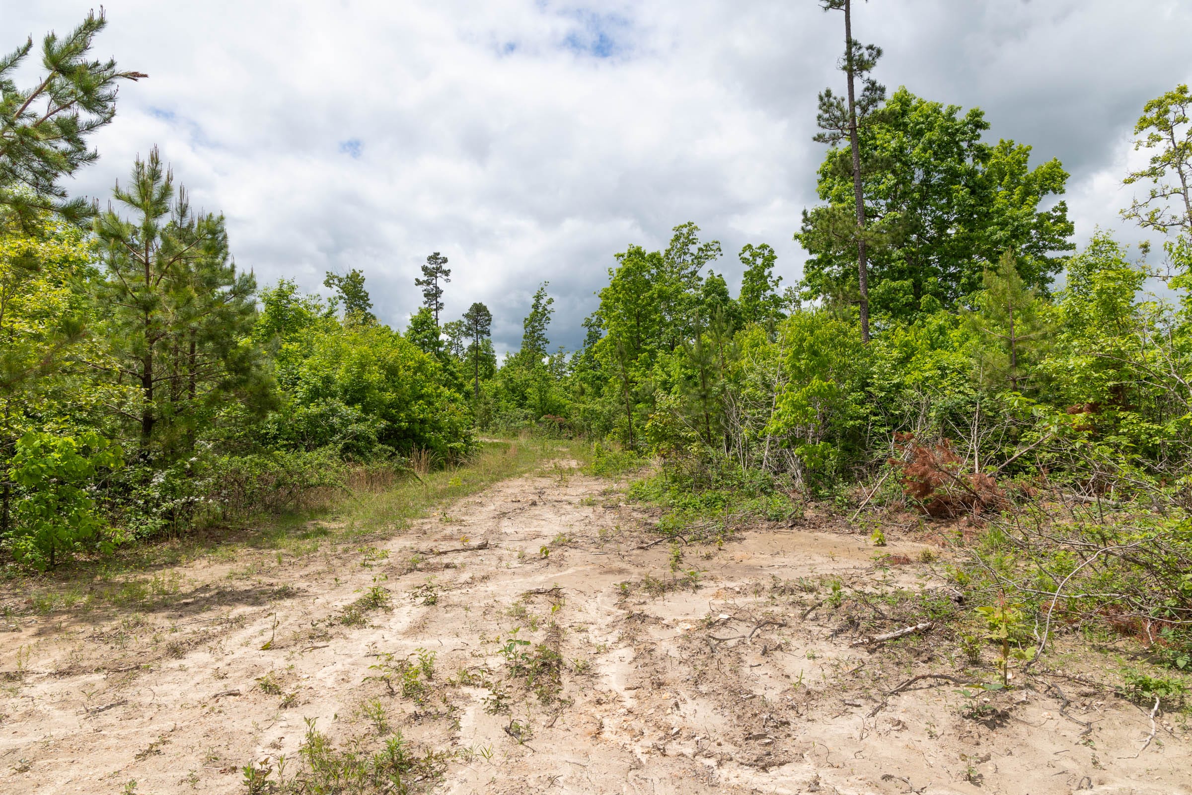 Sleepy Hollow Phase II Tract 78 photo 9