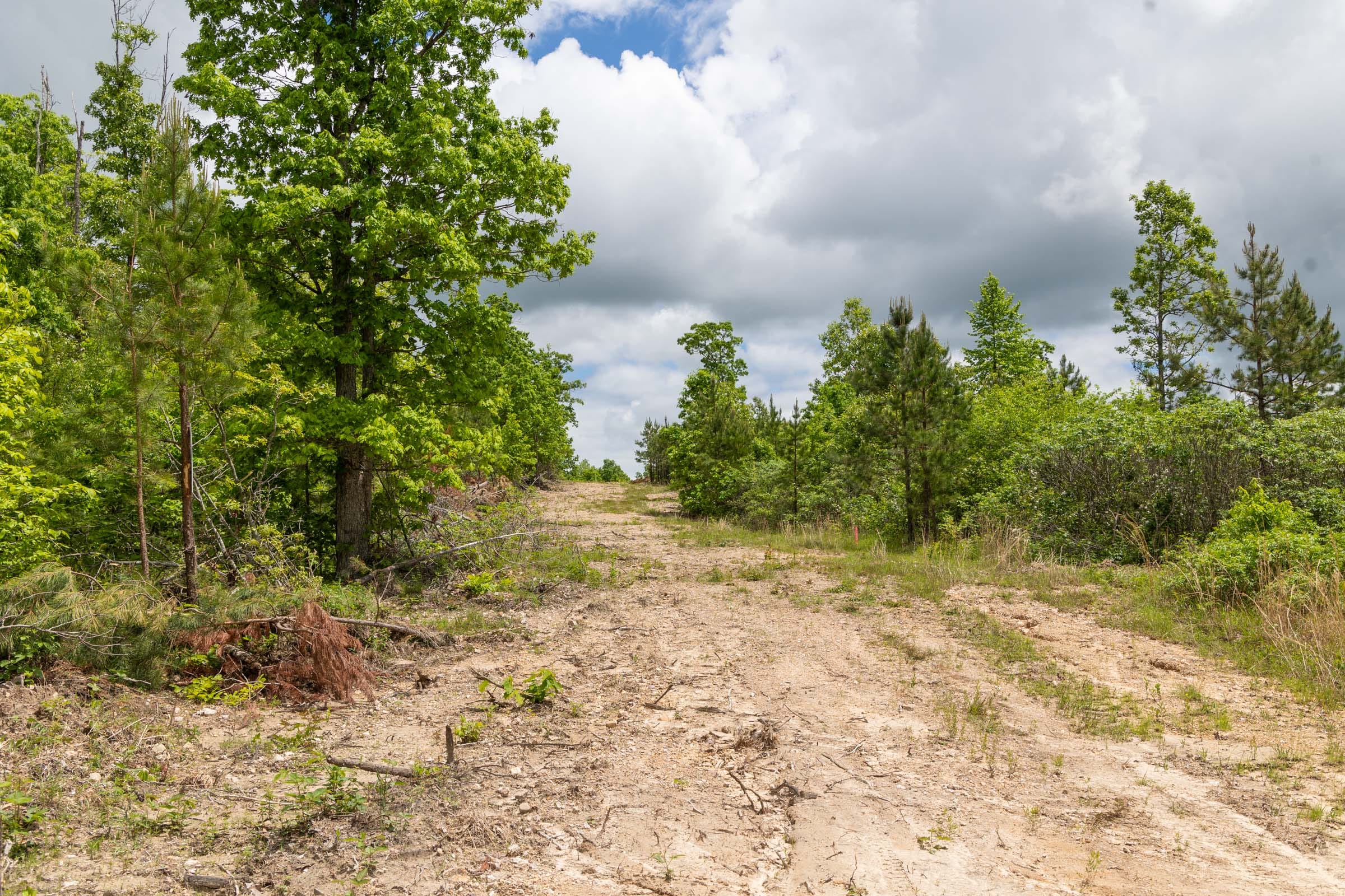 Sleepy Hollow Phase II Tract 78 photo 2