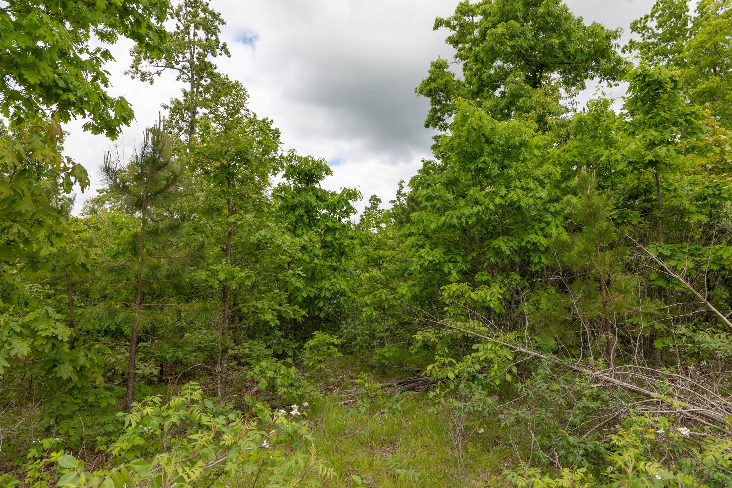 Sleepy Hollow Phase II Tract 78 photo 6