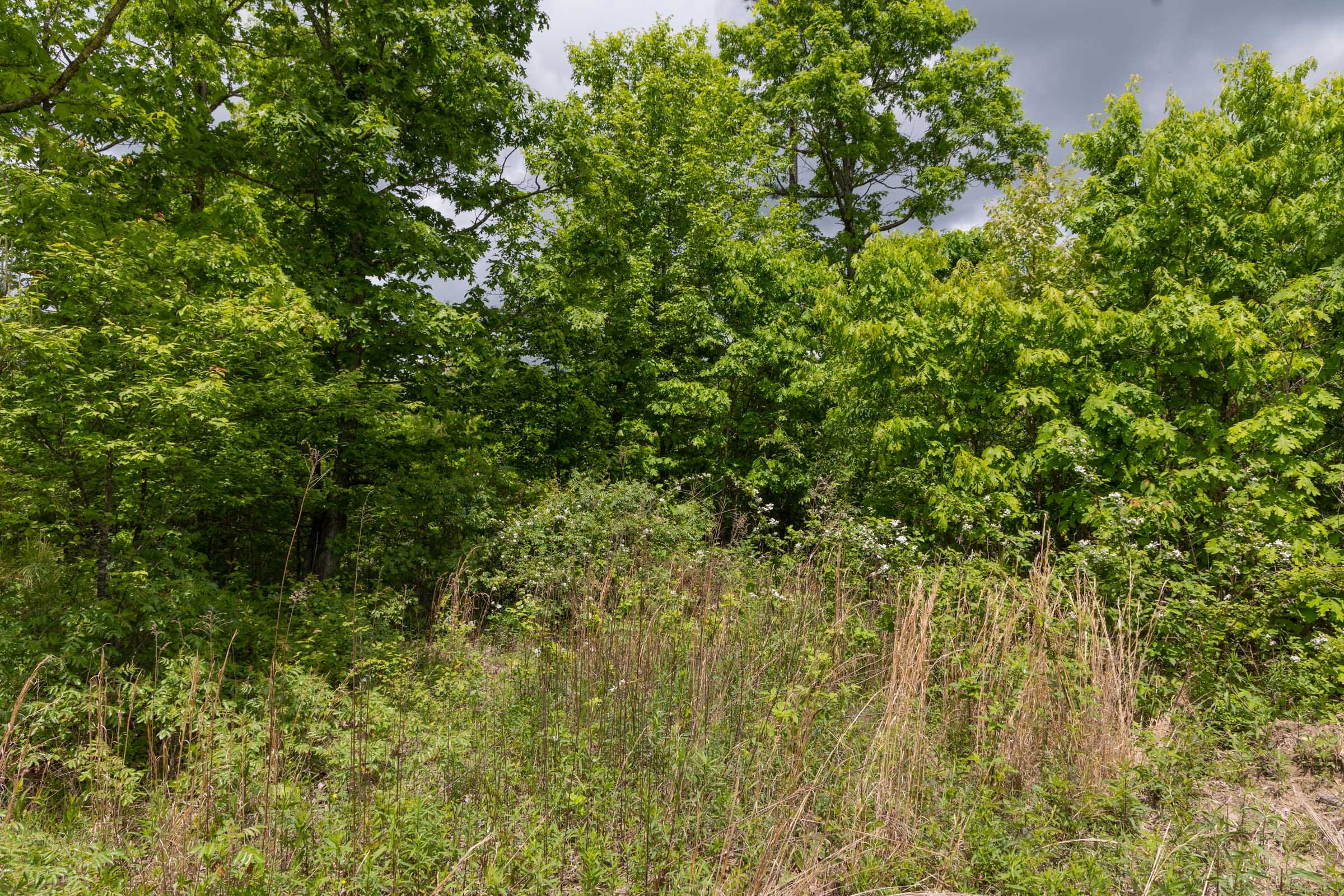 Sleepy Hollow Phase II Tract 78 photo 5