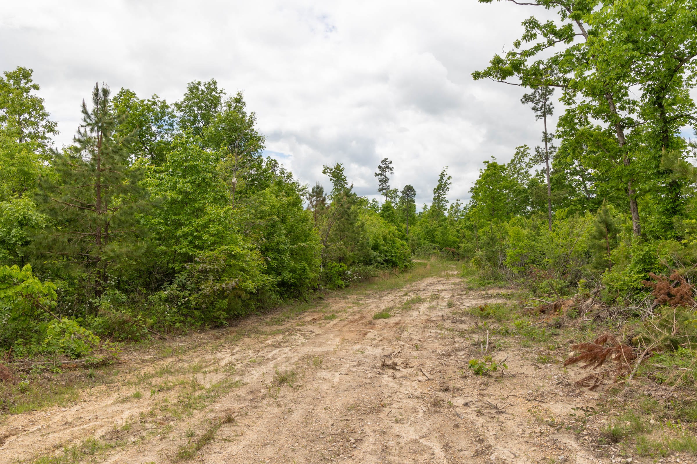 Sleepy Hollow Phase II Tract 78 photo 4