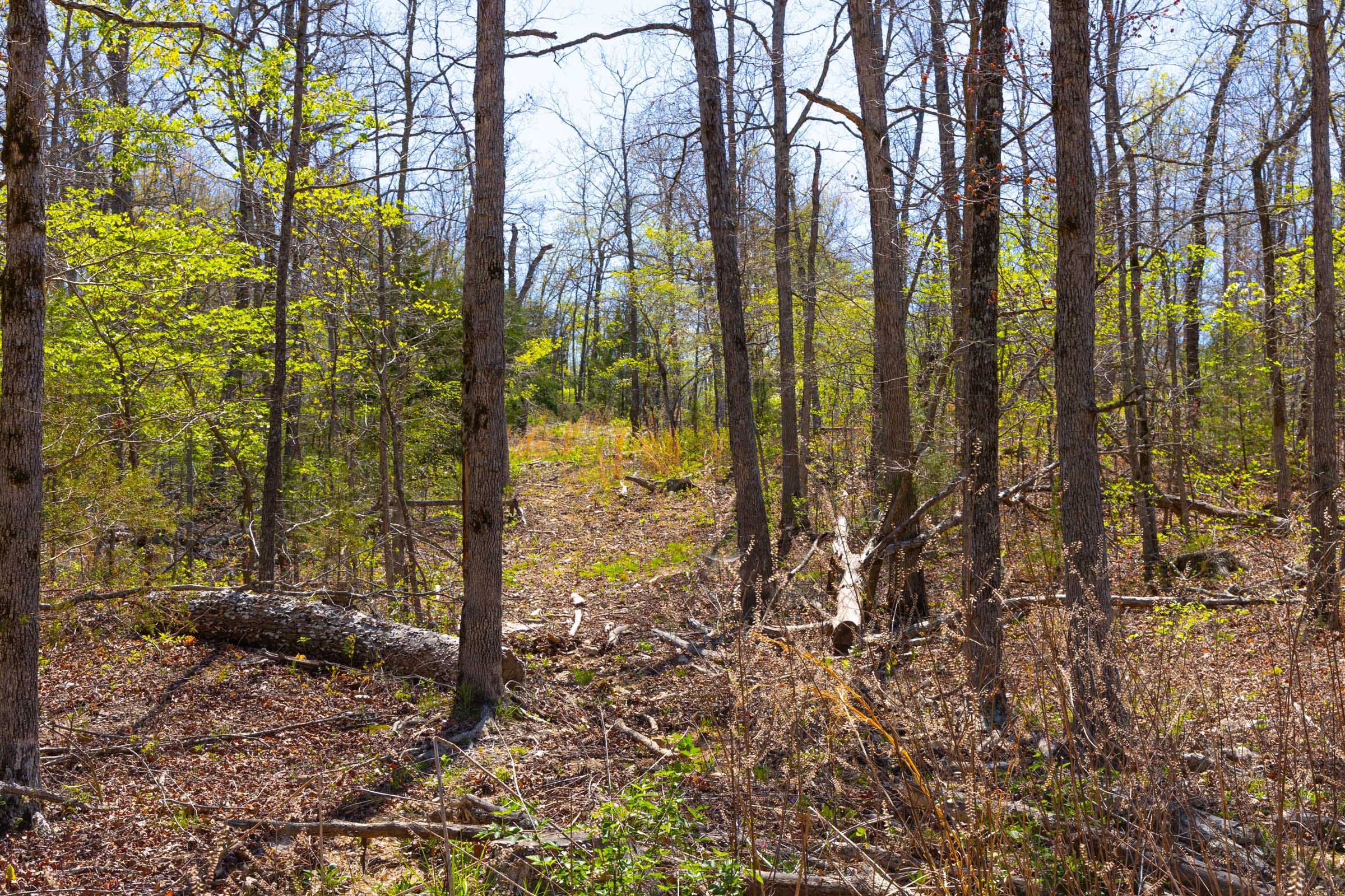 Lazybrook Tract 20 photo 14