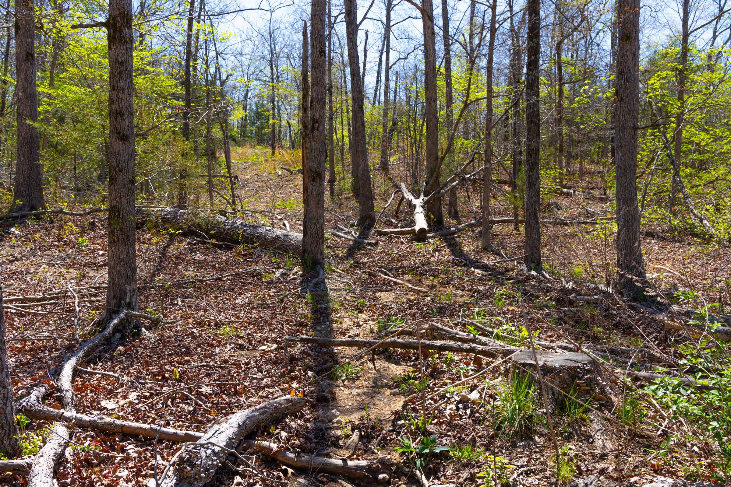 Lazybrook Tract 20 photo 13