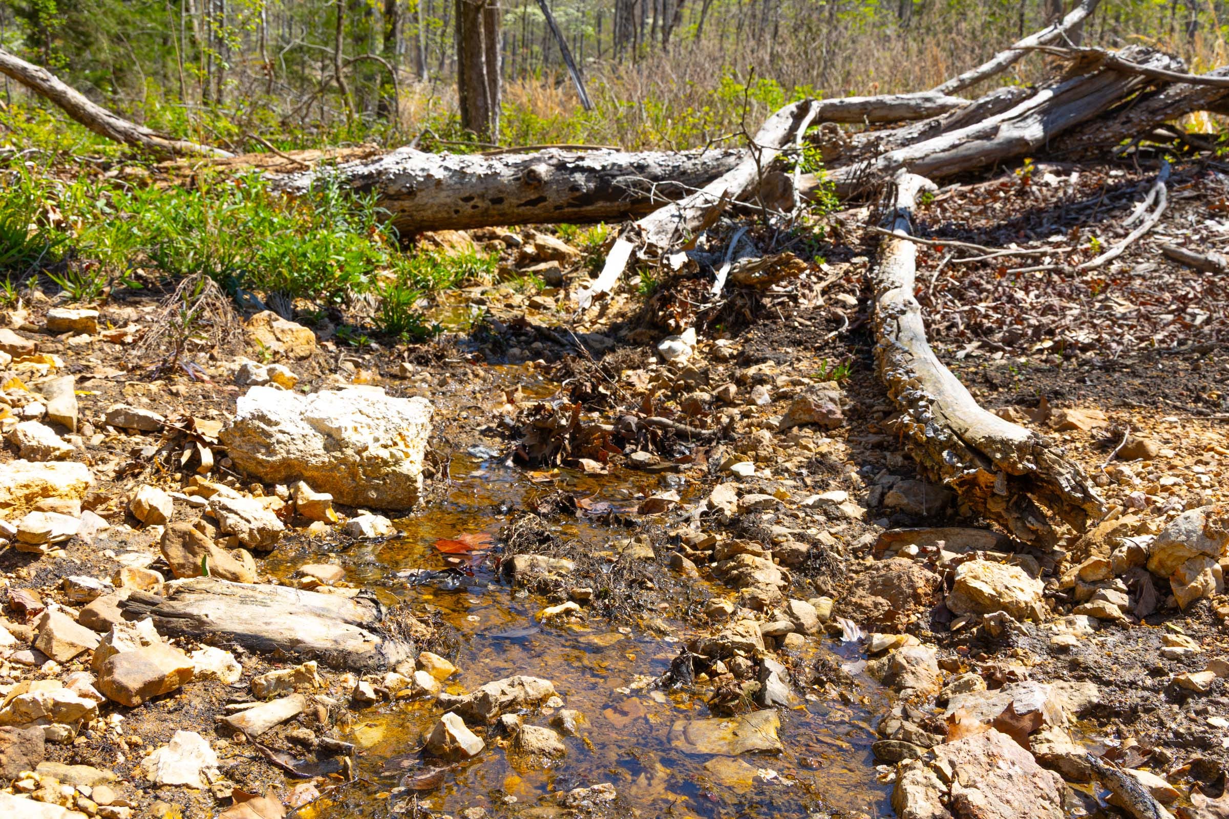 Lazybrook Tract 20 photo 11