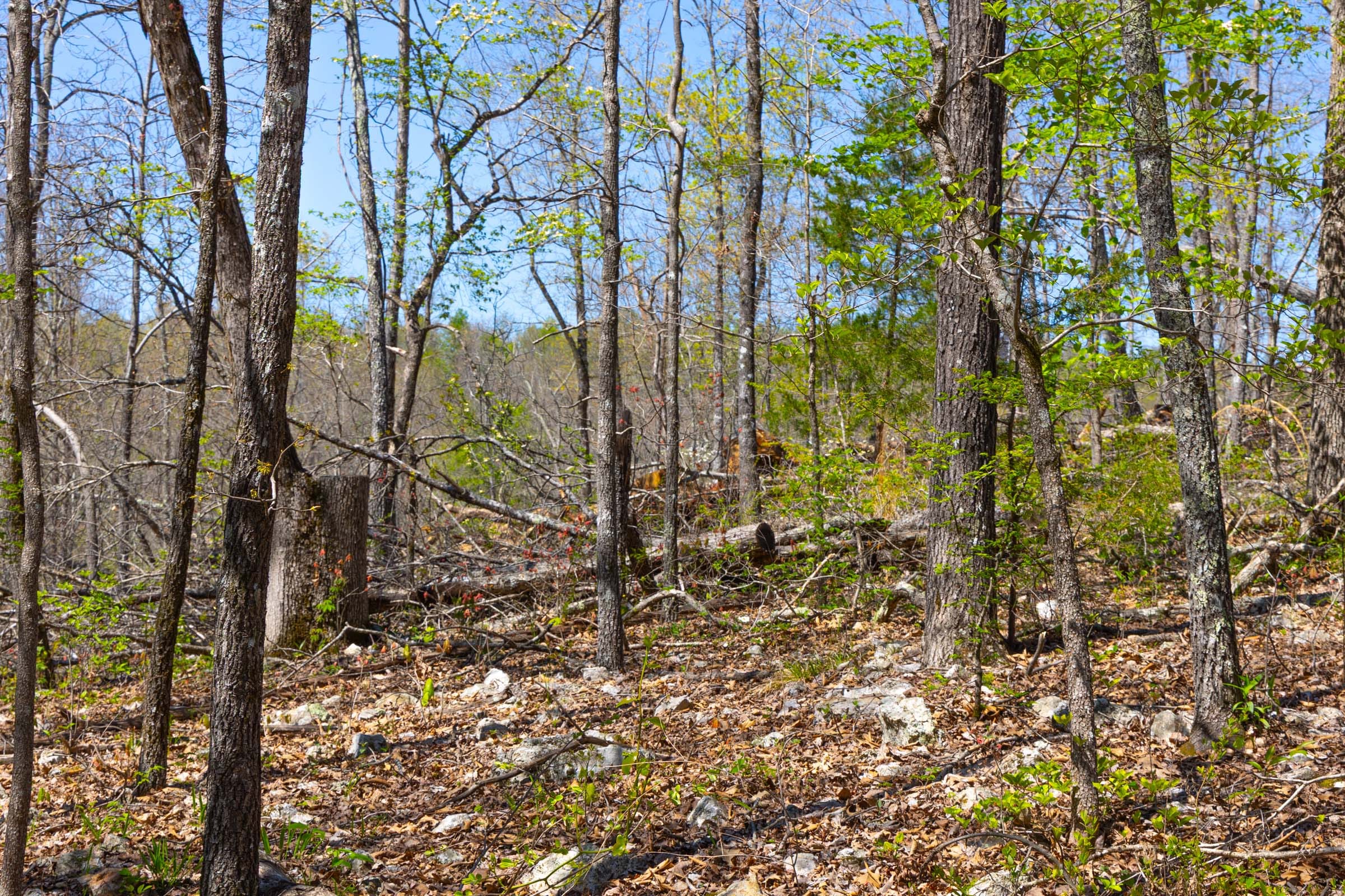 Lazybrook Tract 20 photo 10