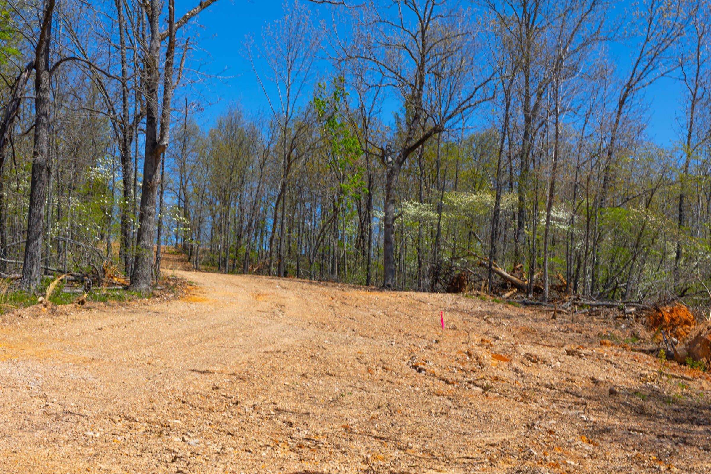 Lazybrook Tract 20 photo 2