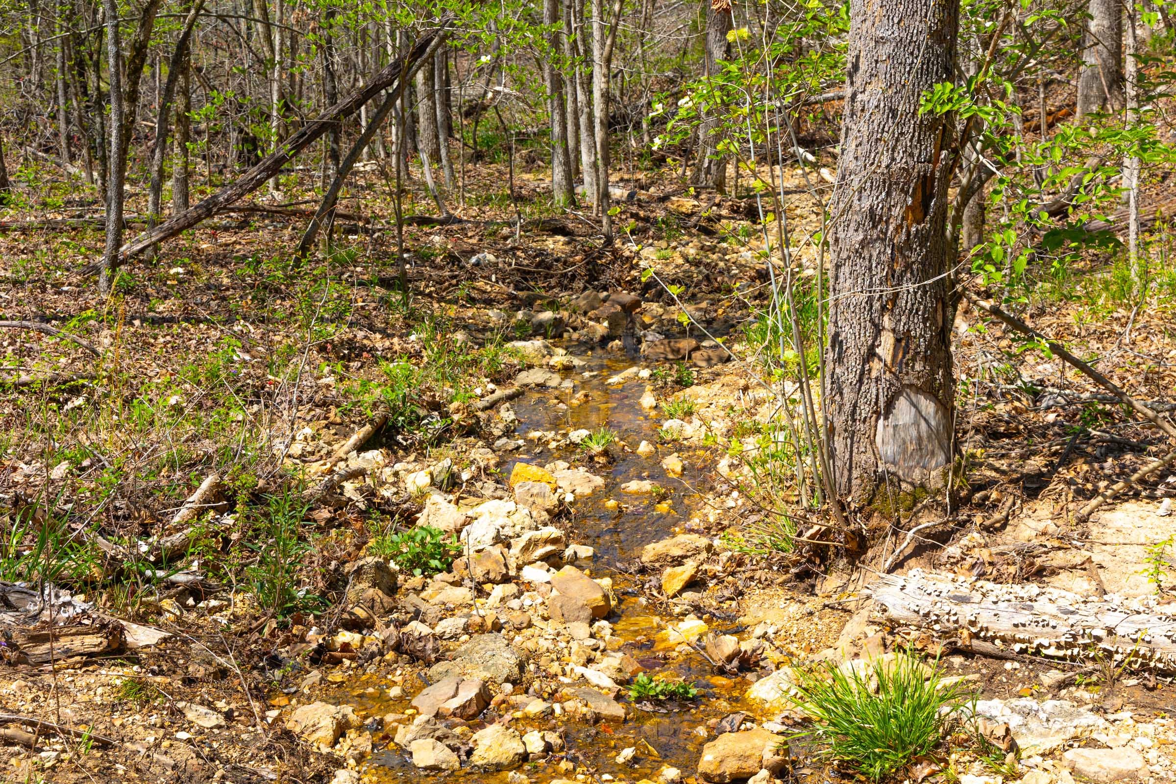 Lazybrook Tract 20 photo 8