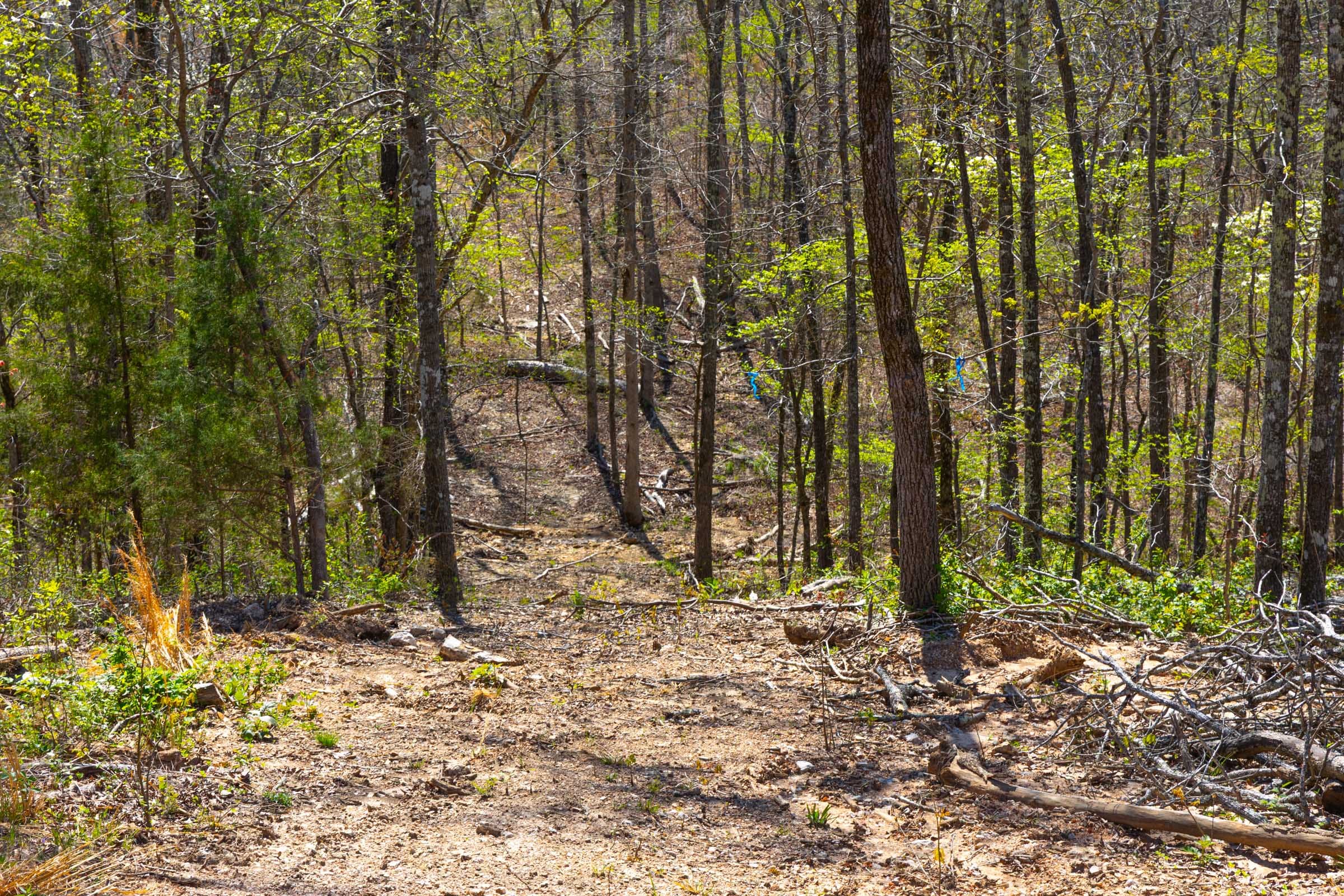Lazybrook Tract 20 photo 6