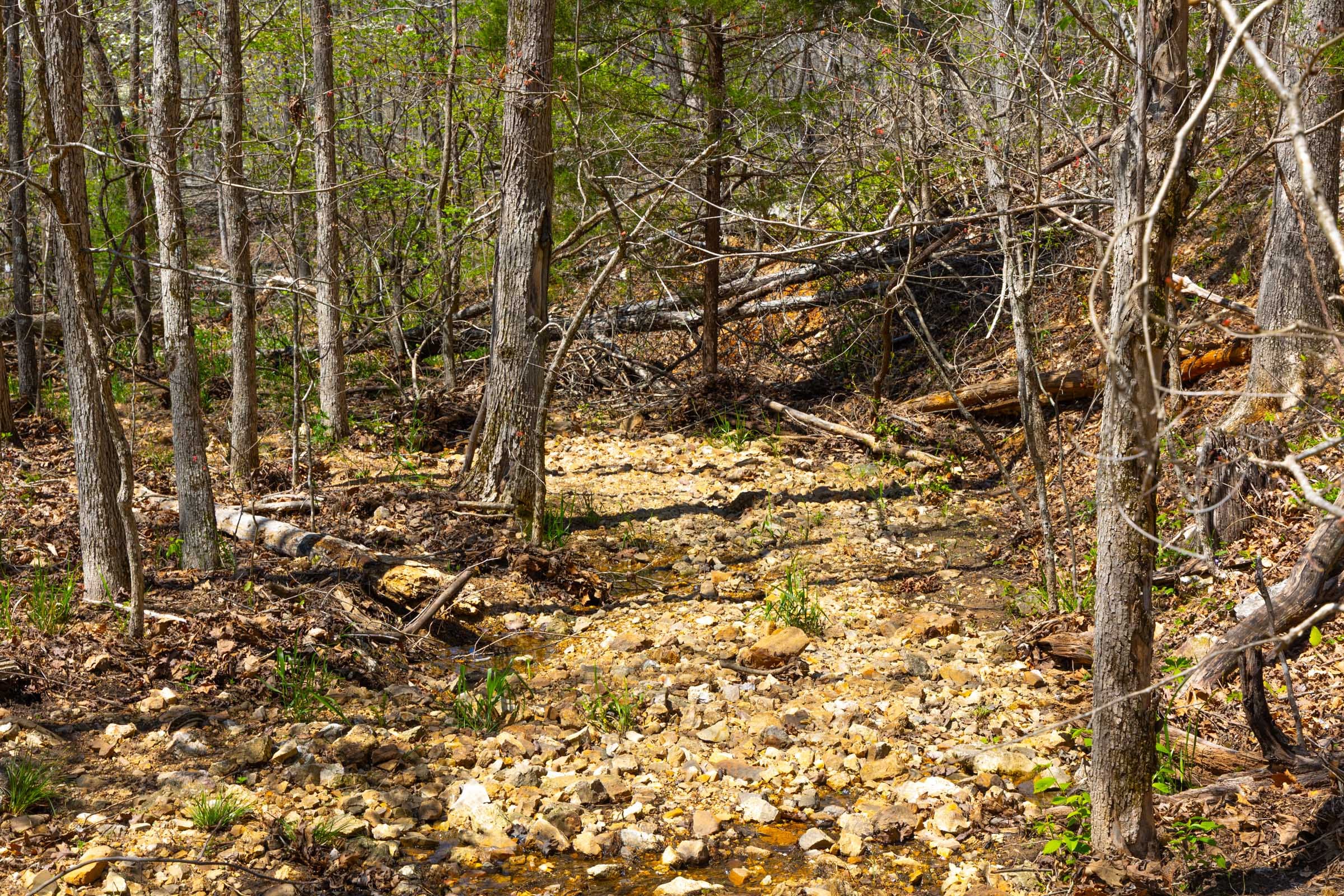 Lazybrook Tract 20 photo 5