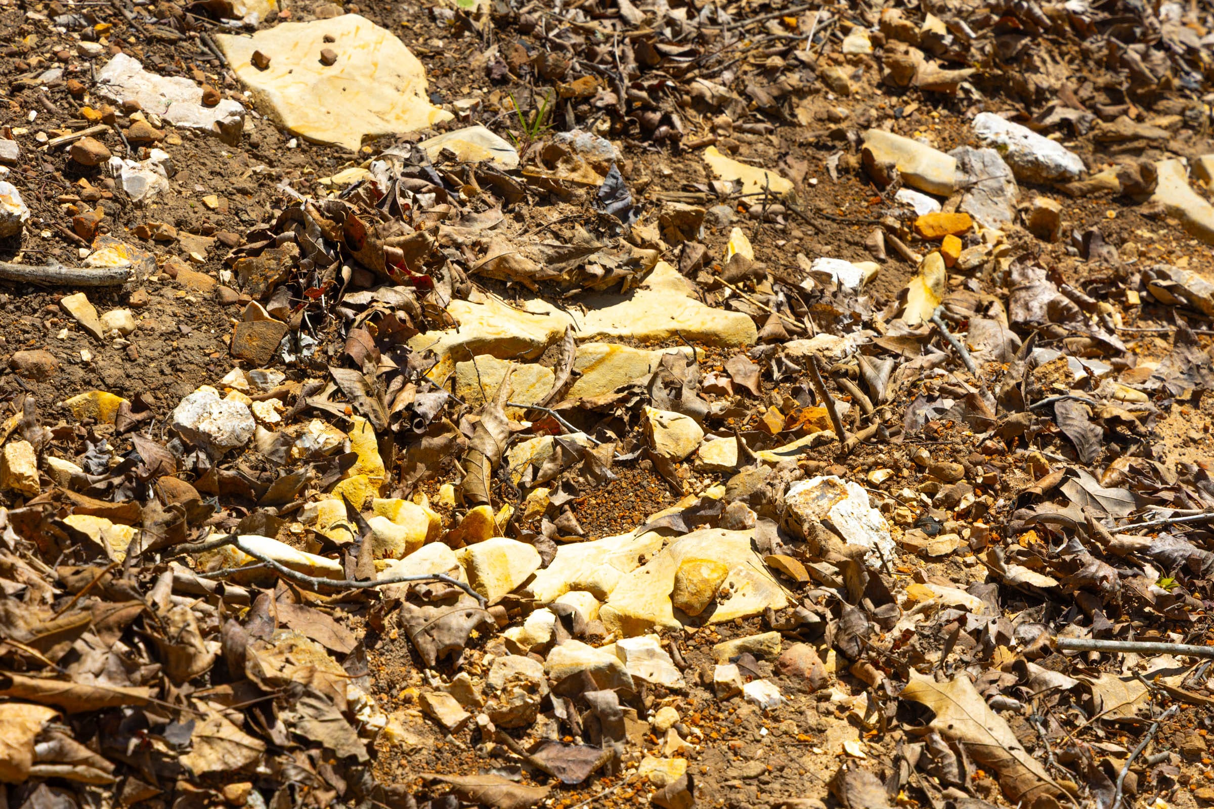 Lazybrook Tract 20 photo 4