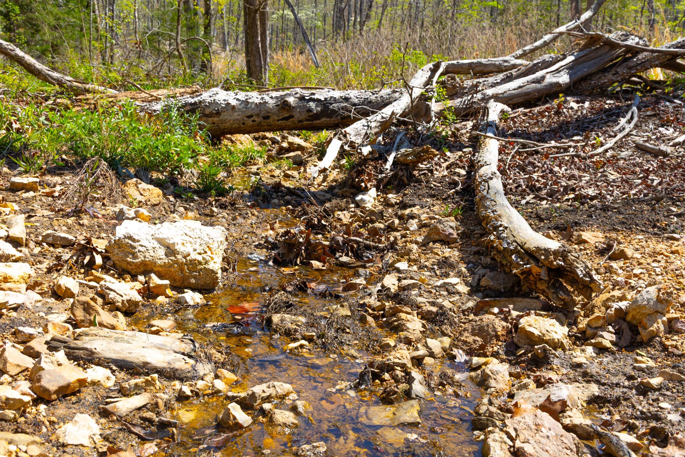 Lazybrook Tract 20 photo 3