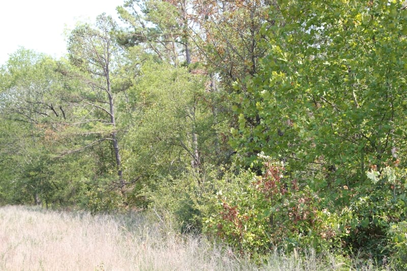 Lake View Ranch Tract 9 photo 1