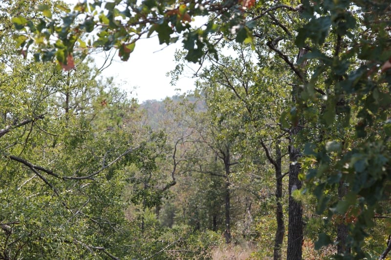 Lake View Ranch Tract 9 photo 4