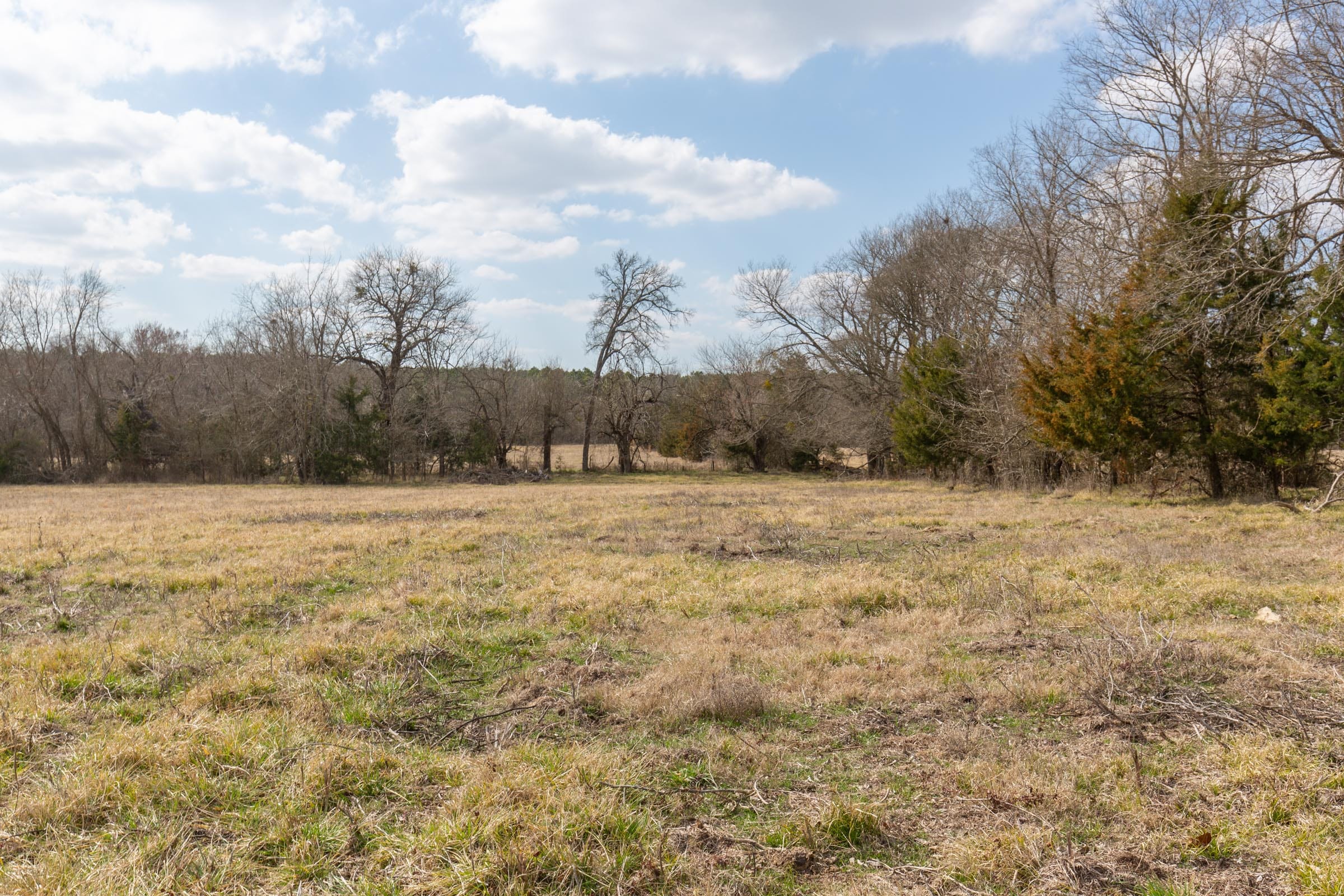 Wishing Star Ranch Tract 33 photo 3