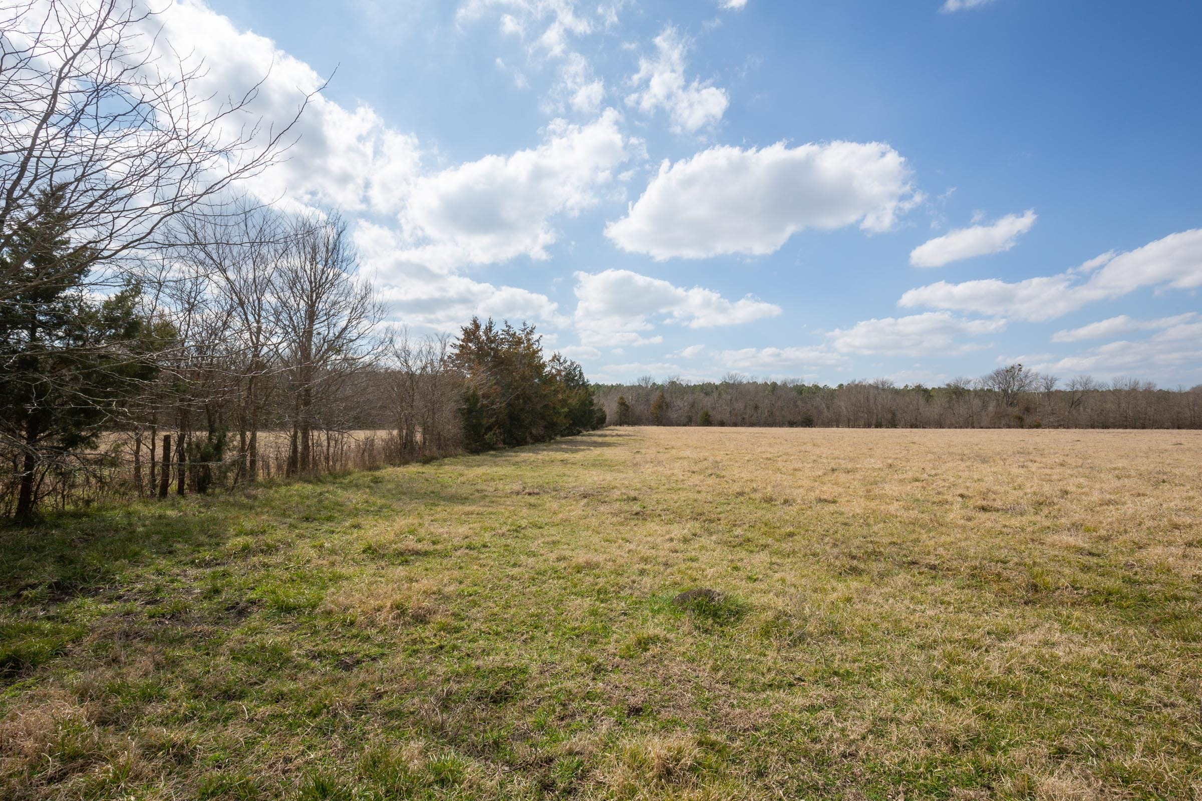 Wishing Star Ranch Tract 33 photo 4