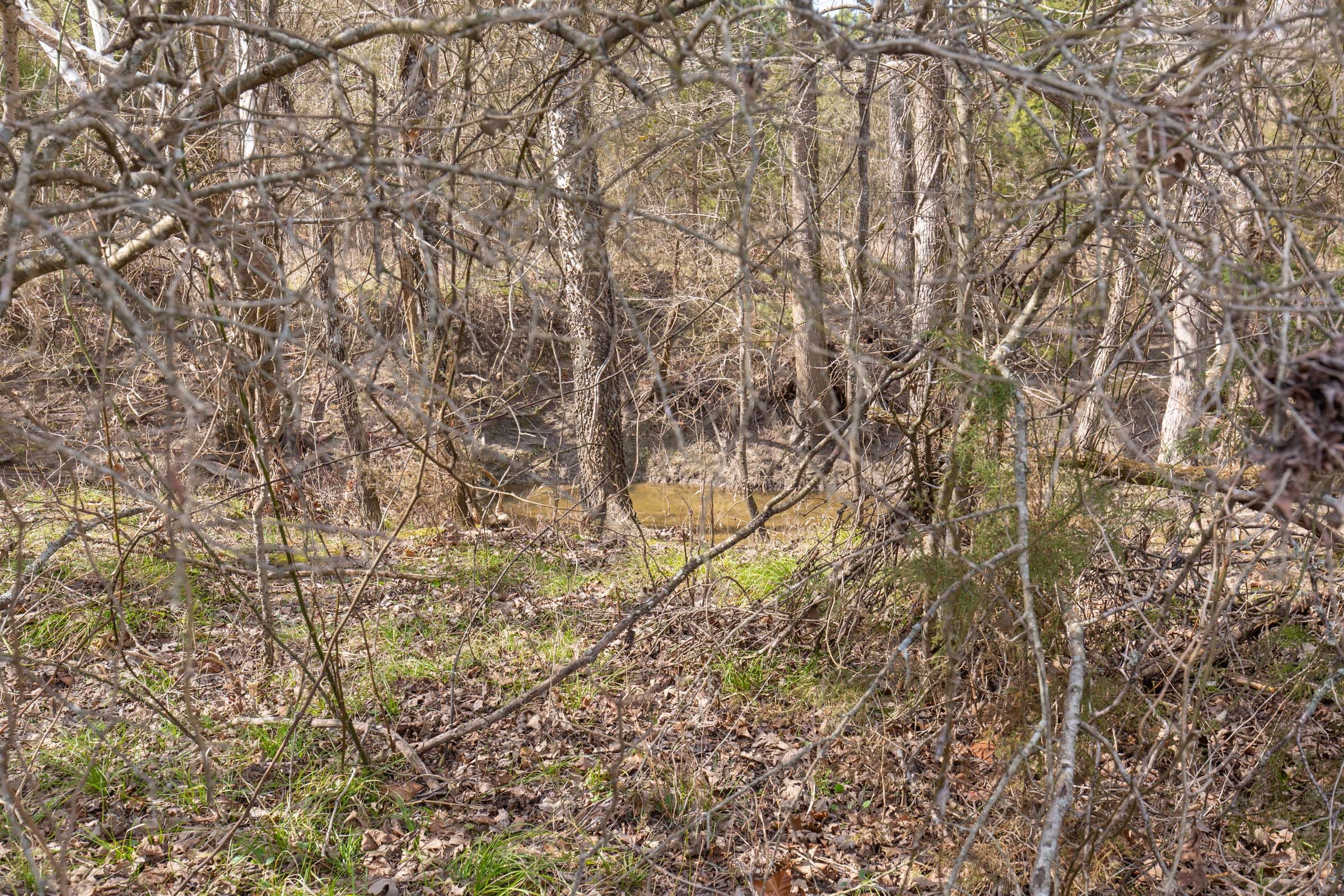 Wishing Star Ranch Tract 33 photo 6
