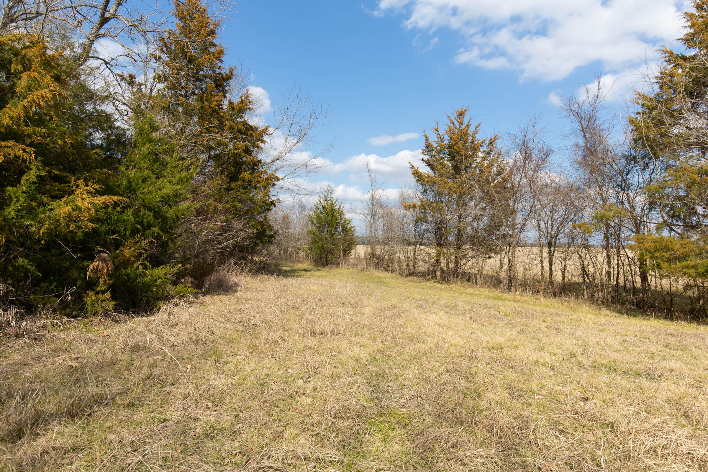 Wishing Star Ranch Tract 33 photo 8