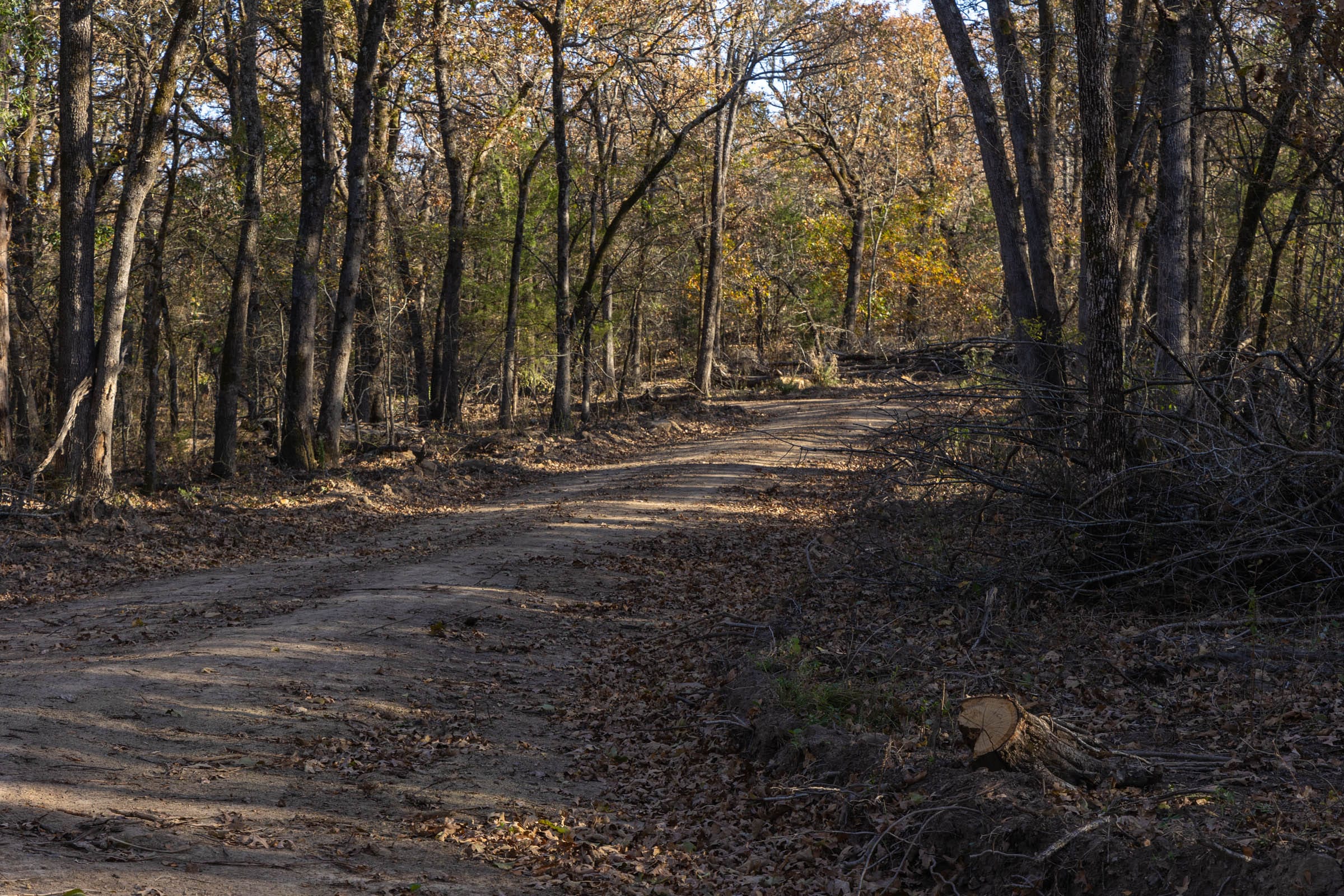 Harmony Hills Tract 52 photo 3