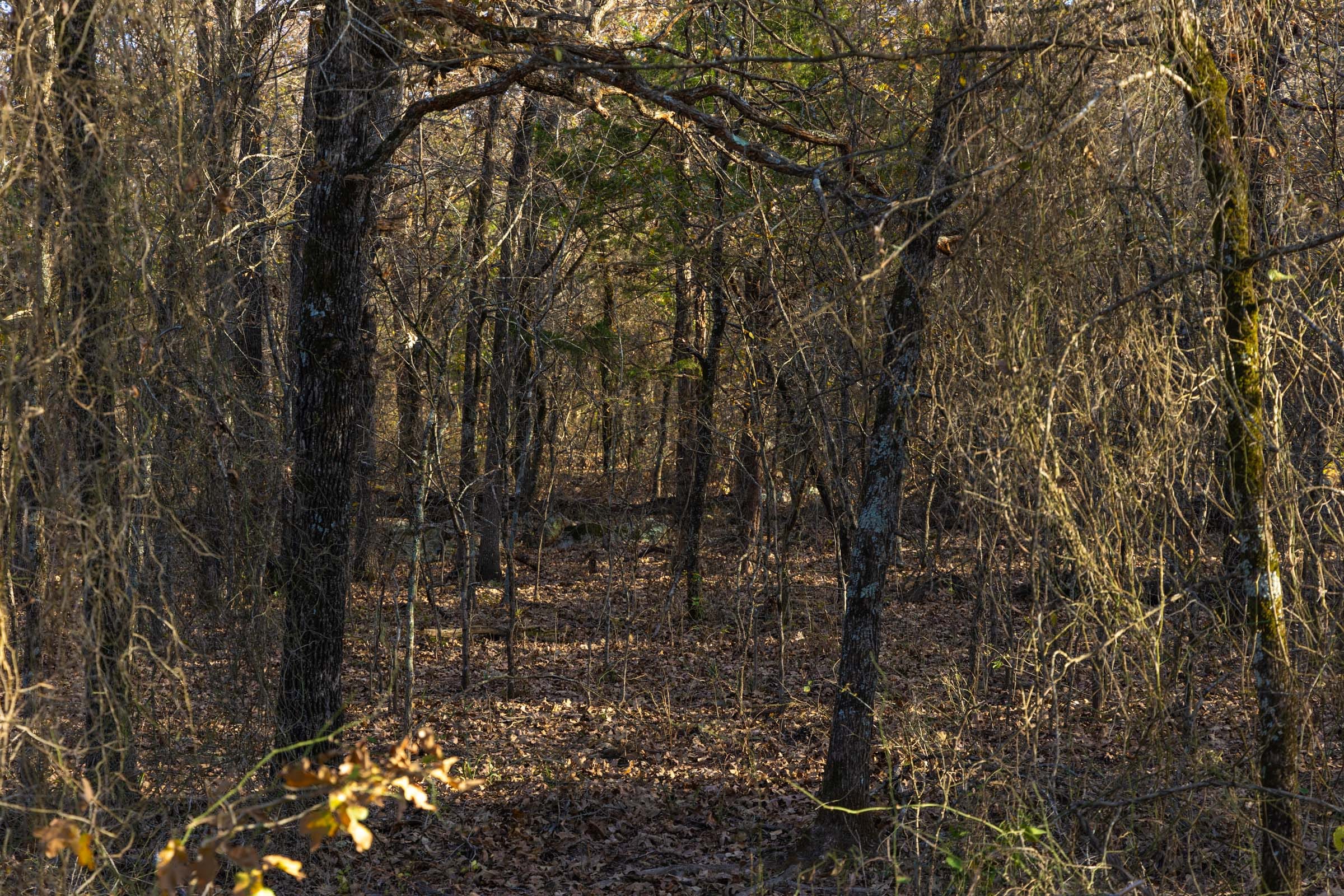 Harmony Hills Tract 52 photo 9