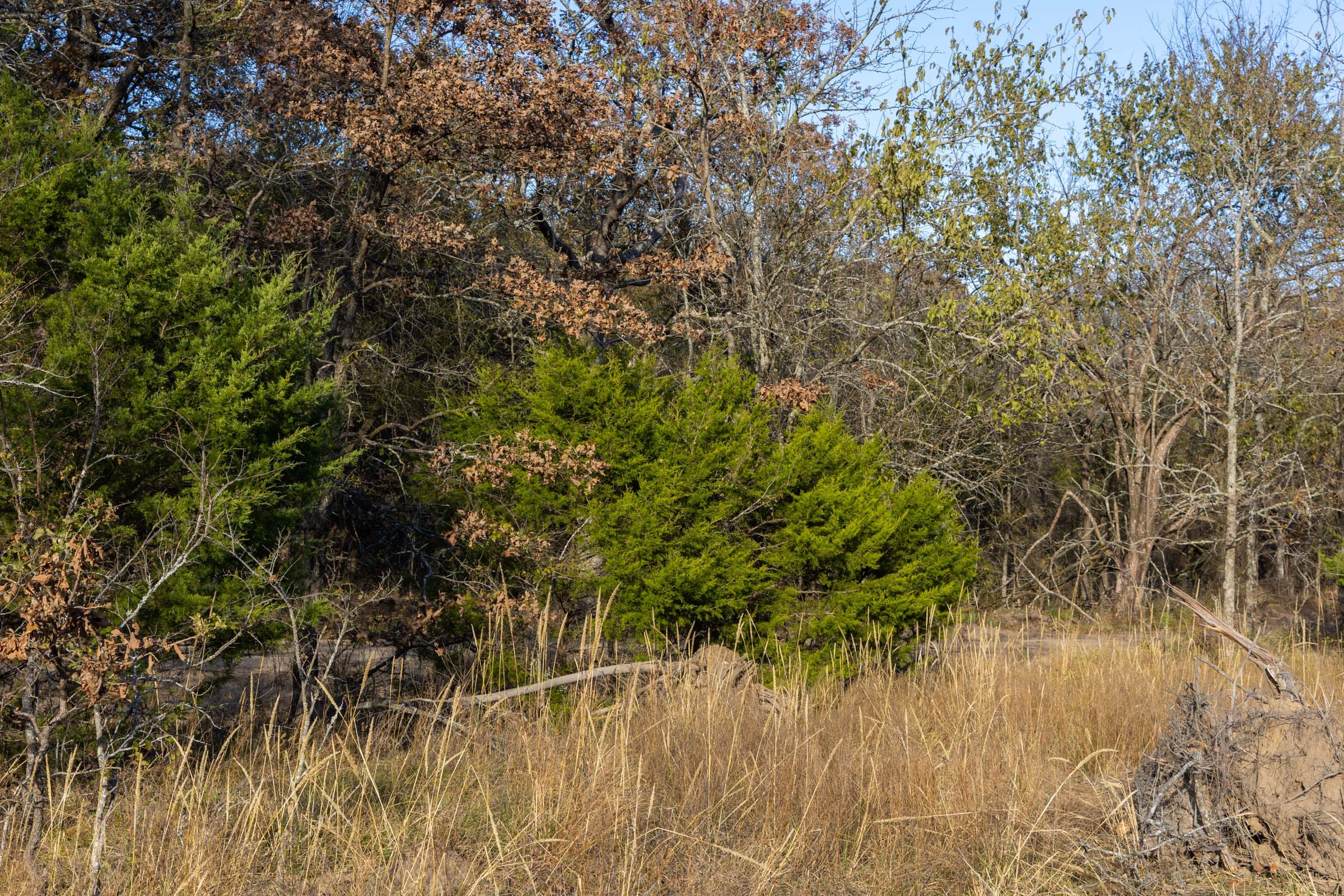 Harmony Hills Tract 52 photo 8