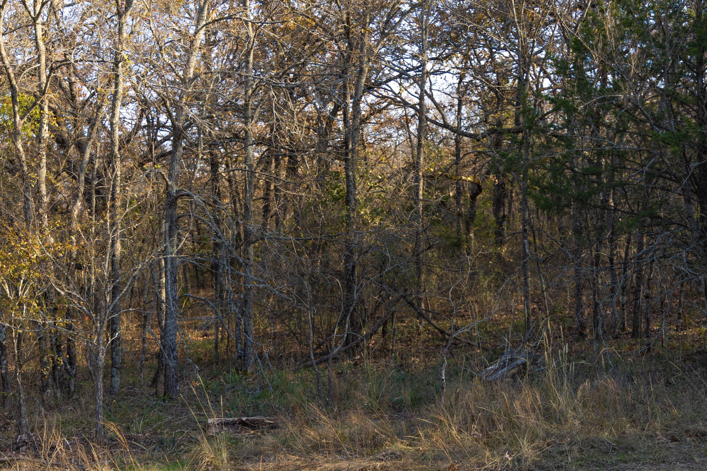 Harmony Hills Tract 52 photo 10