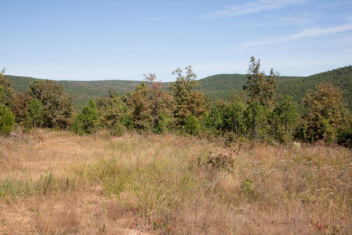 Stone Creek Phase I Tract 151 photo 3
