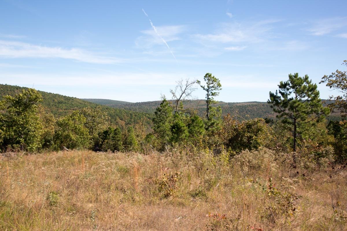 Stone Creek Phase I Tract 151 photo 5