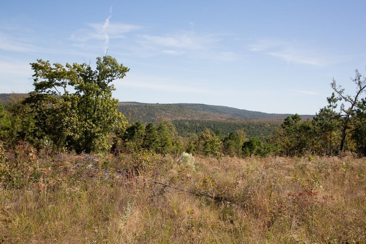 Stone Creek Phase I Tract 151 photo 10