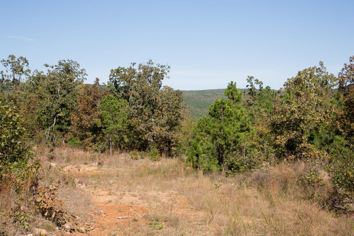 Stone Creek Phase I Tract 151 photo 12