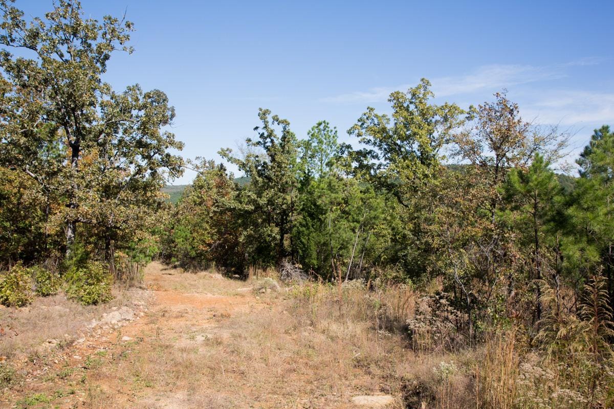 Stone Creek Phase I Tract 151 photo 13