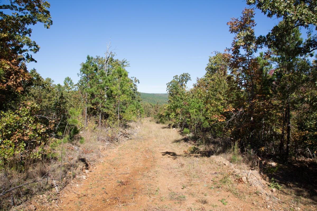 Stone Creek Phase I Tract 151 photo 11