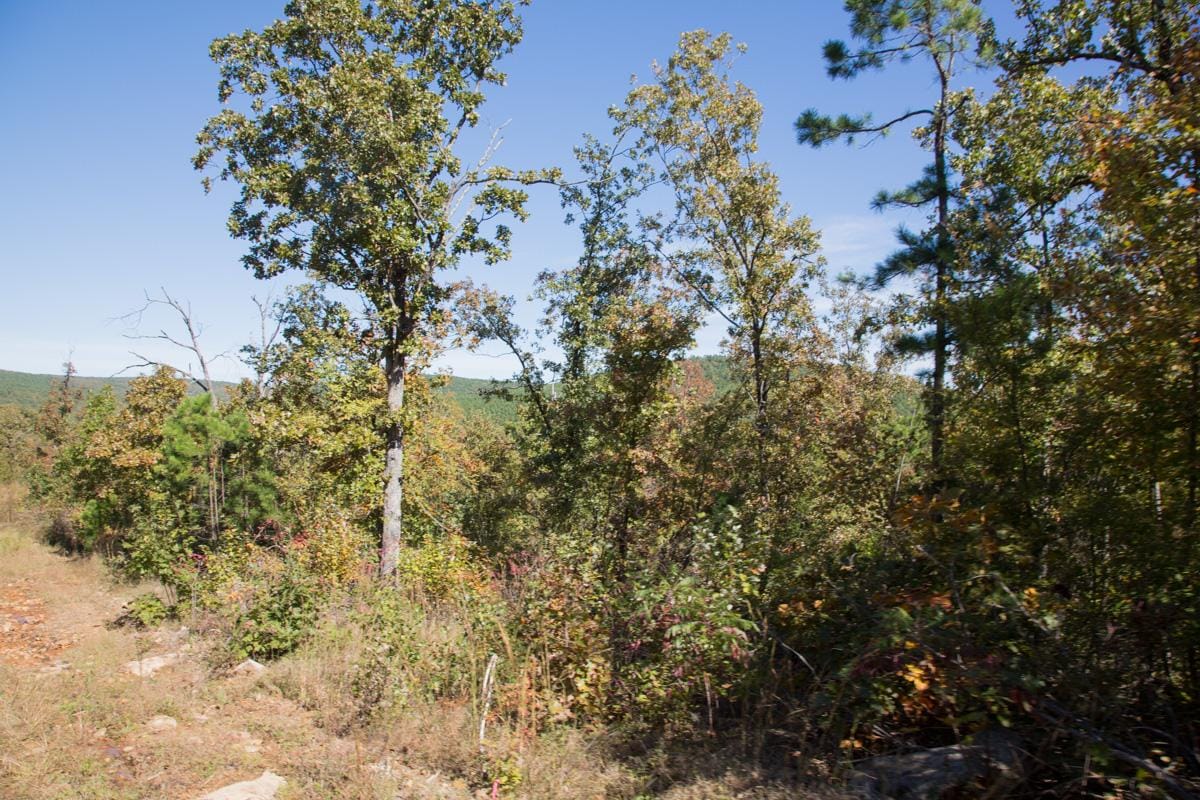 Stone Creek Phase I Tract 151 photo 14