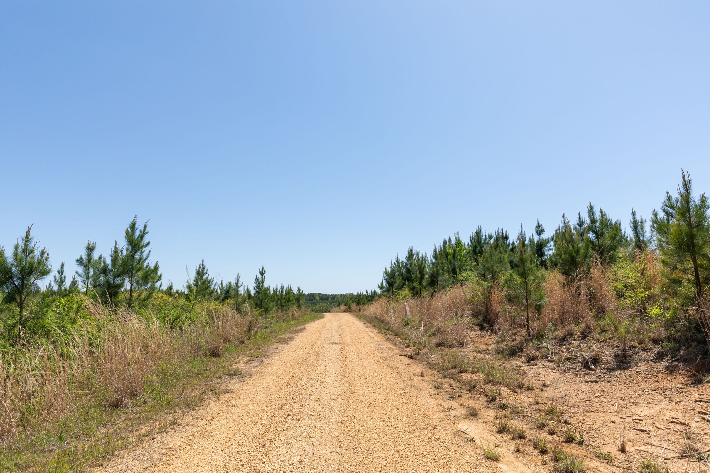 Clear Wood Tract 54 photo 1