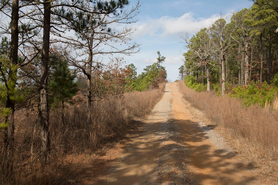 Stone Creek Phase III Tract 85 photo 2