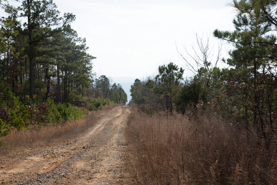 Stone Creek Phase III Tract 85 photo 3