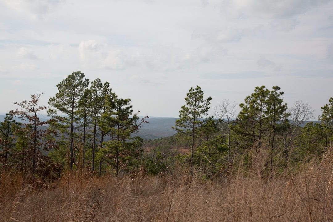 Stone Creek Phase III Tract 85 photo 6