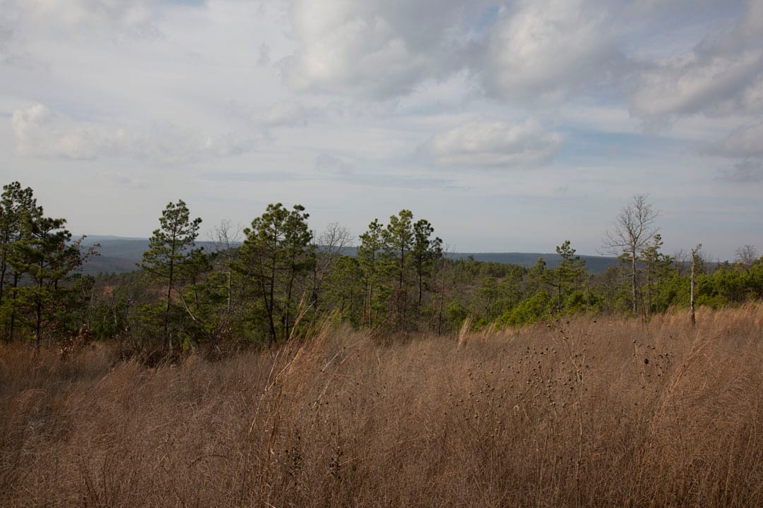 Stone Creek Phase III Tract 85 photo 8