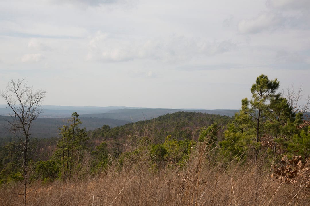 Stone Creek Phase III Tract 85 photo 9