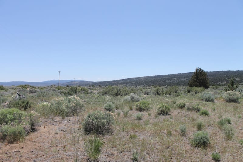 Moon Valley Ranch Tract 580 photo 4