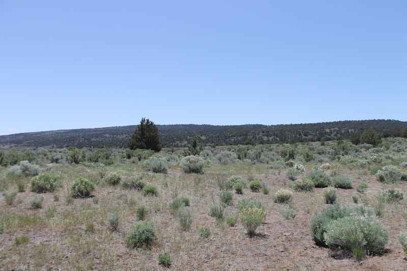 Moon Valley Ranch Tract 580 photo 5