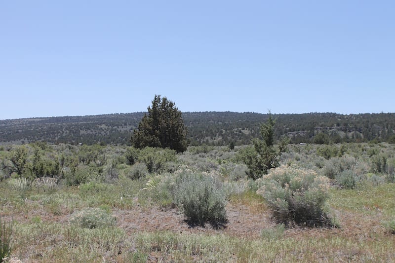Moon Valley Ranch Tract 580 photo 9