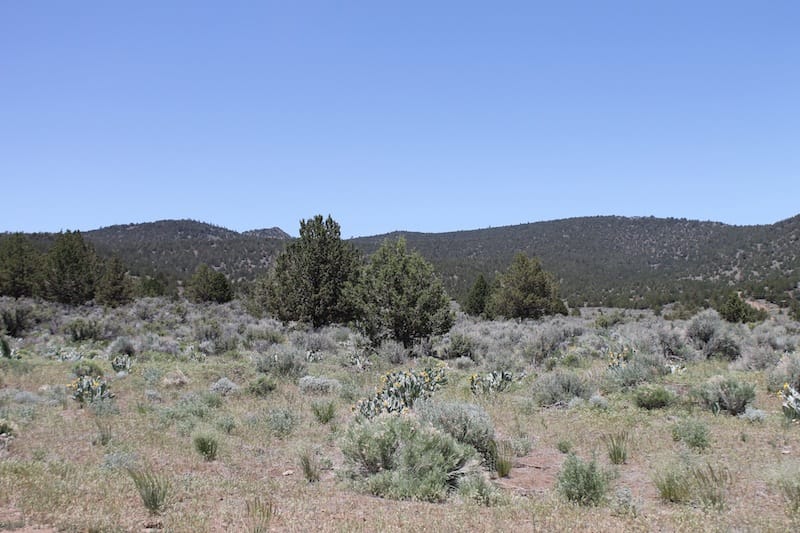 Moon Valley Ranch Tract 580 photo 12
