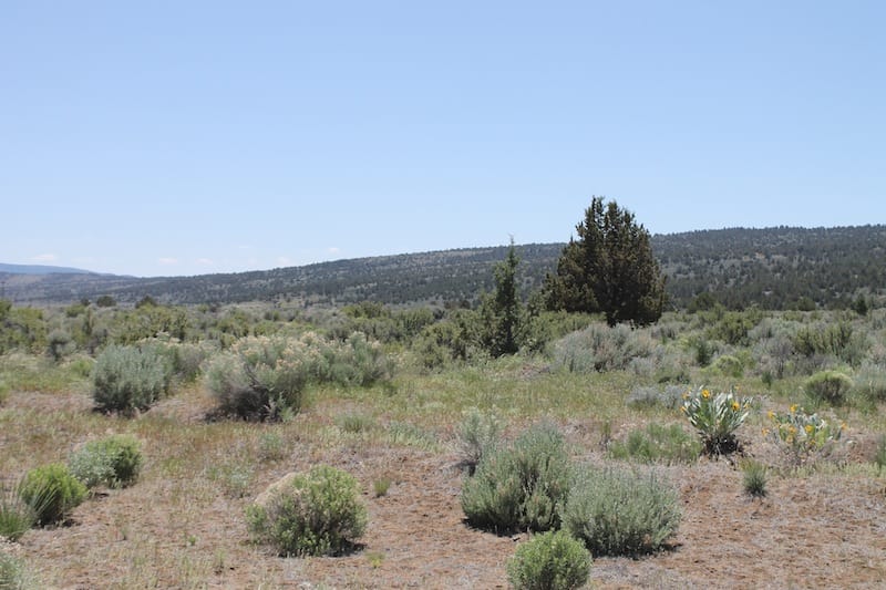 Moon Valley Ranch Tract 580 photo 13
