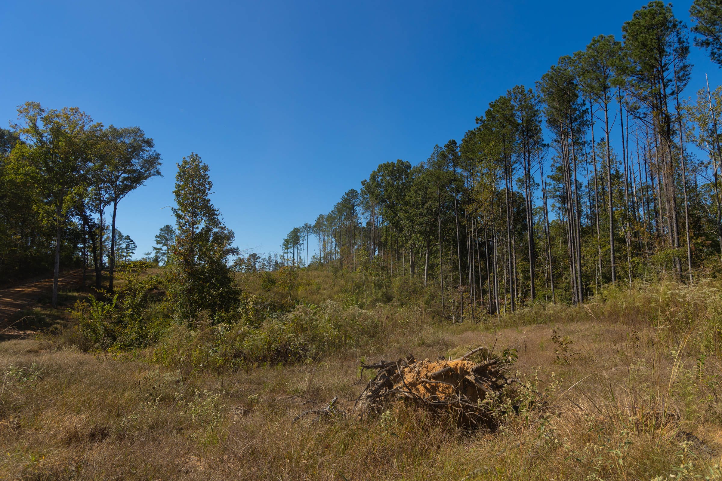 Meyer’s Ridge Tract 1 photo 17
