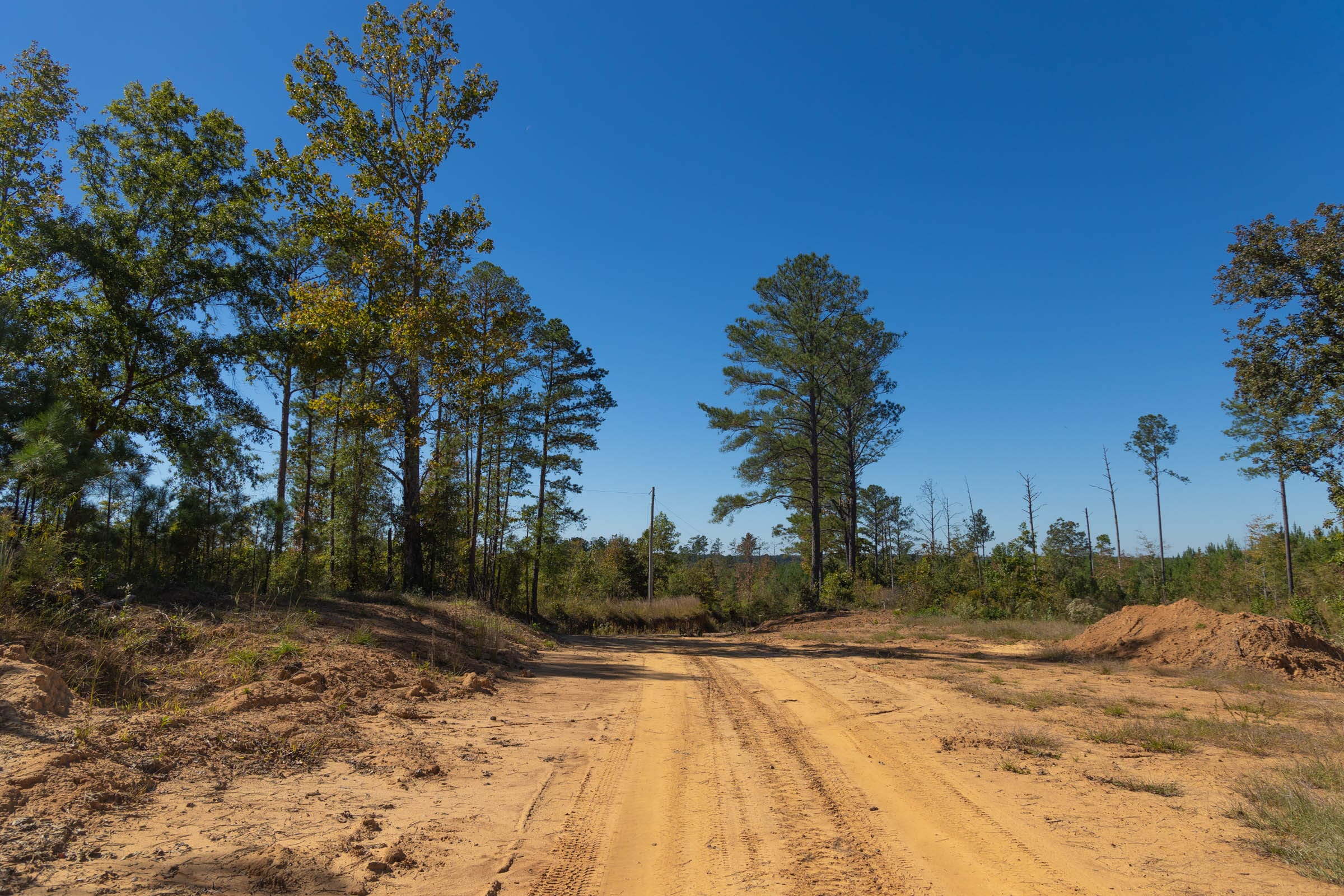 Meyer’s Ridge Tract 1 photo 16