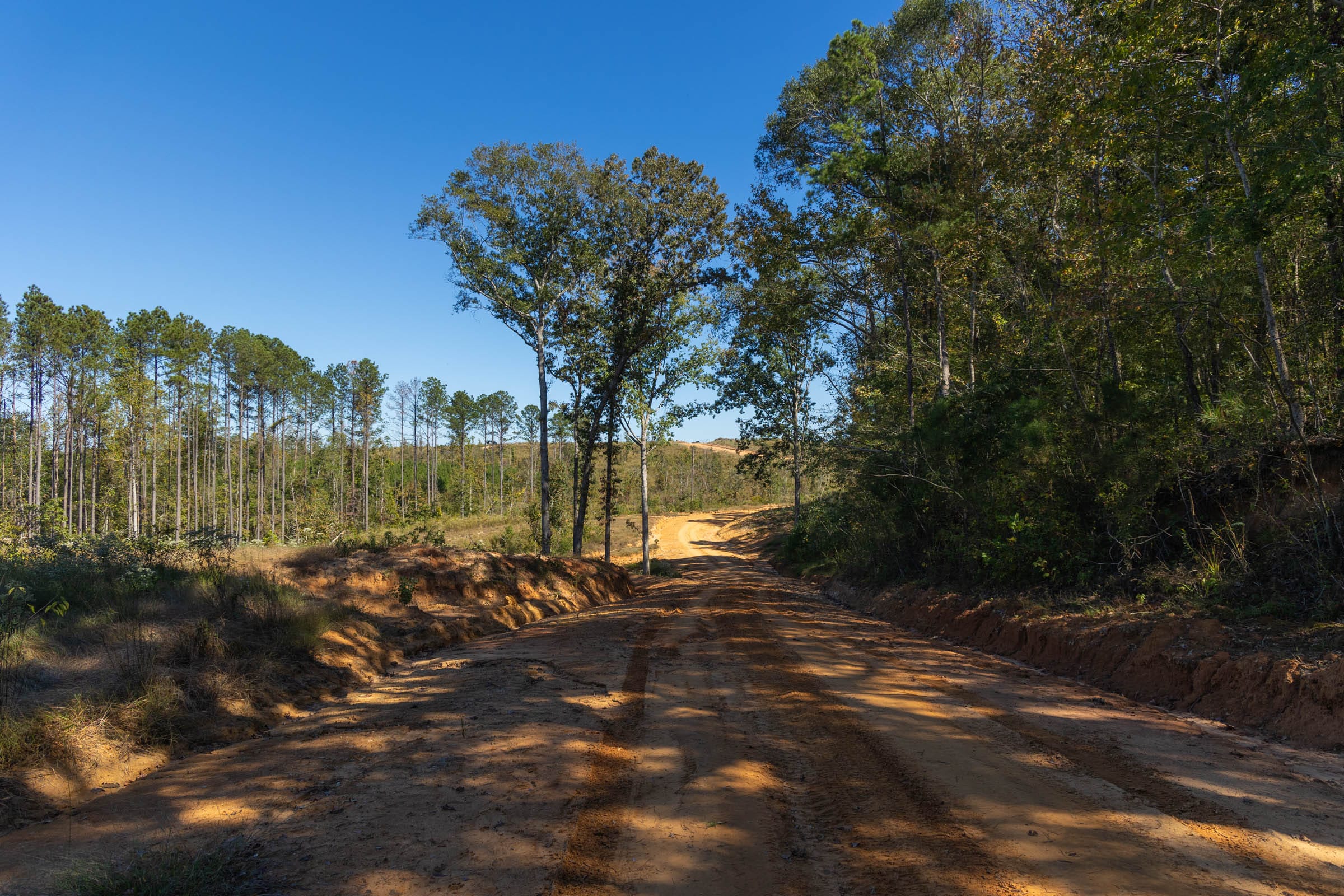 Meyer’s Ridge Tract 1 photo 14