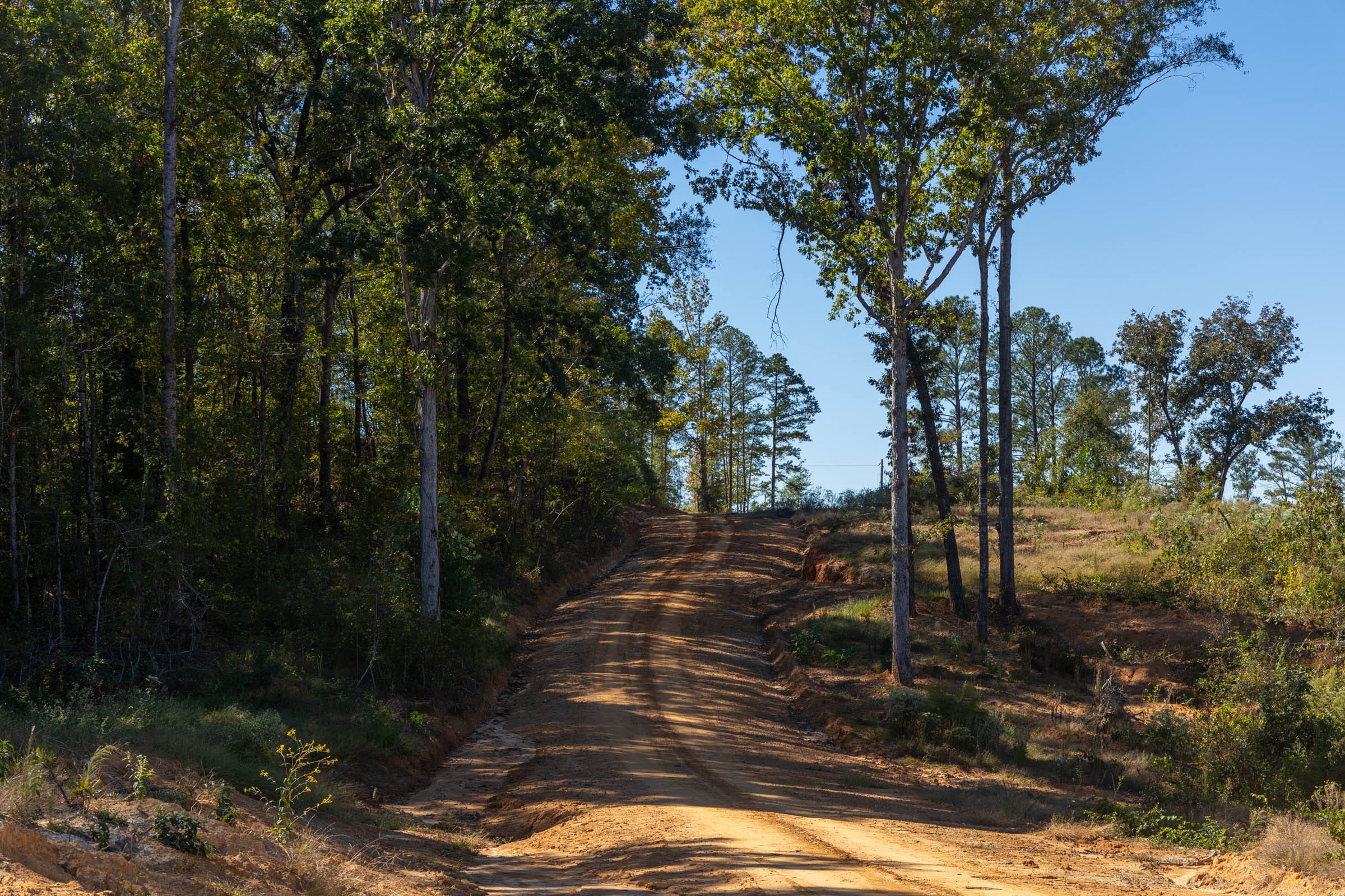 Meyer’s Ridge Tract 1 photo 4