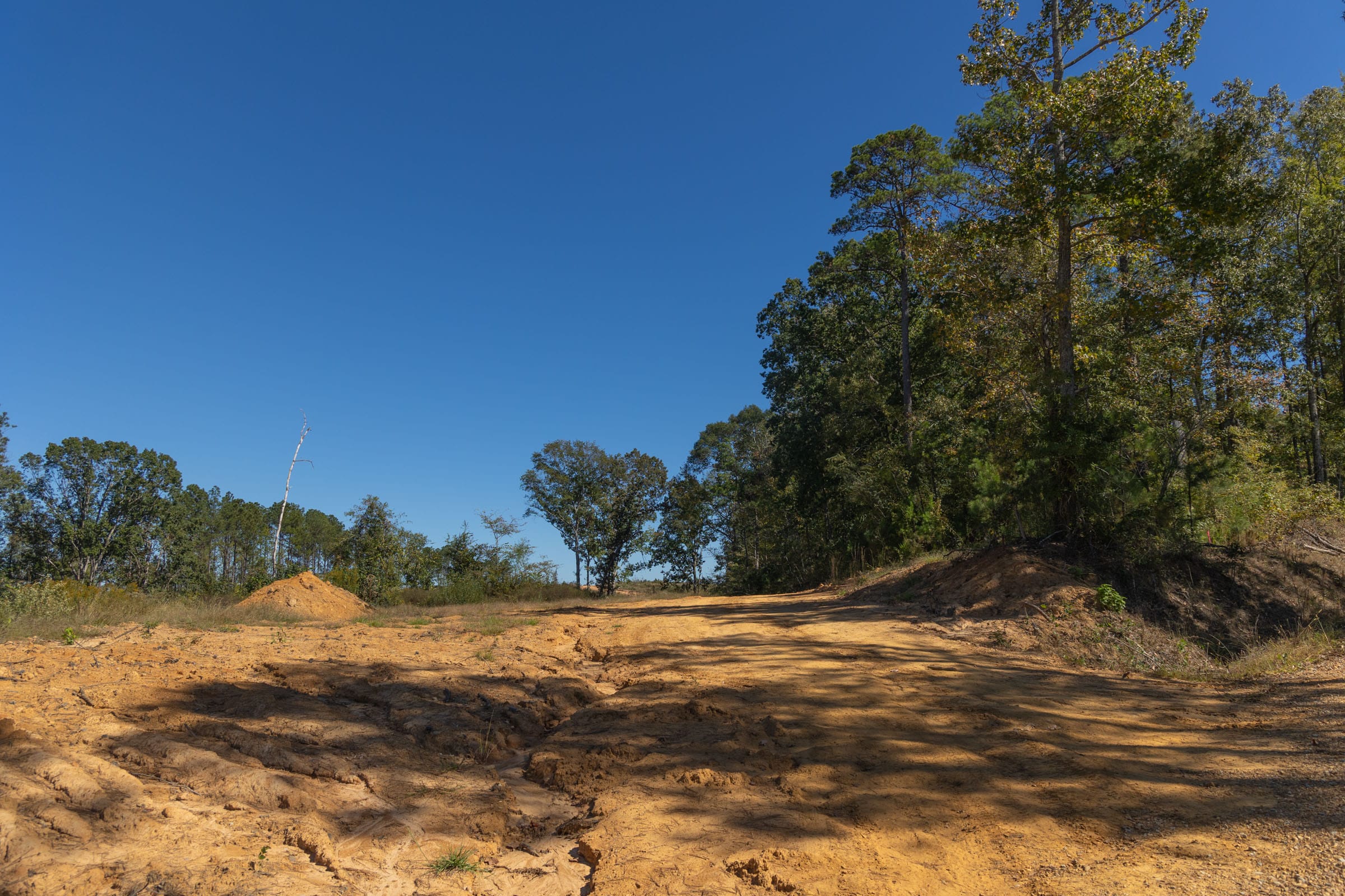 Meyer’s Ridge Tract 1 photo 12
