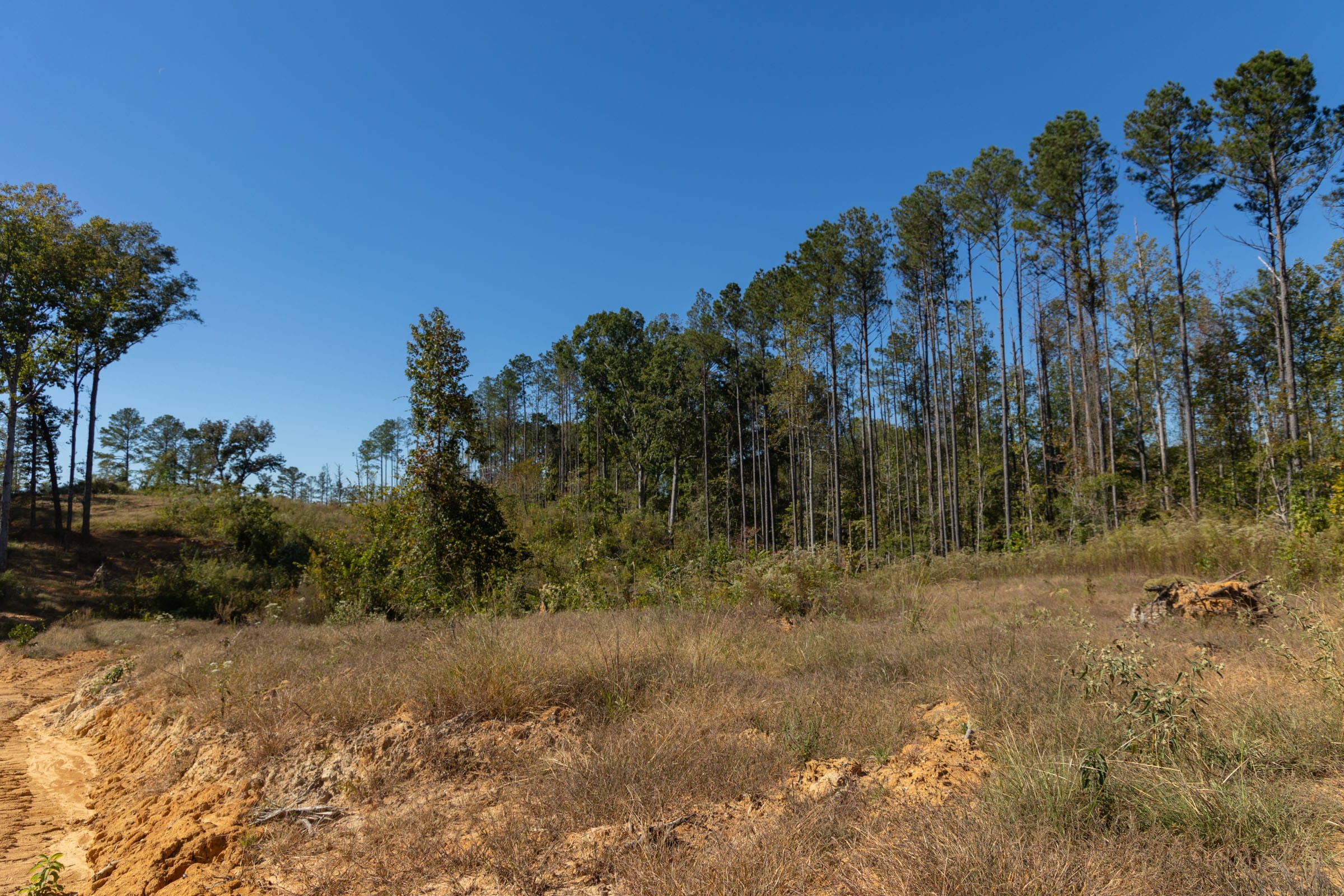 Meyer’s Ridge Tract 1 photo 11