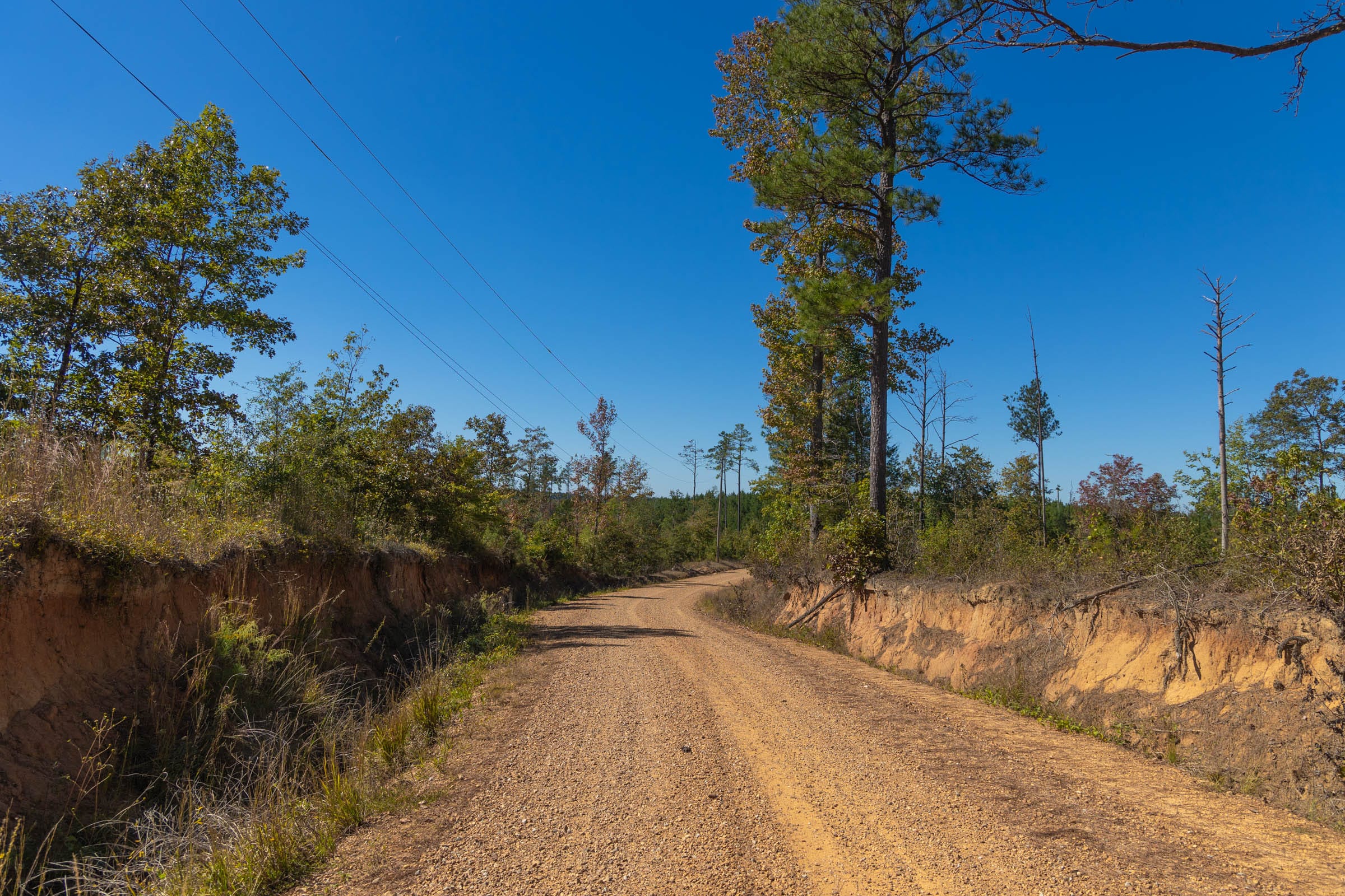 Meyer’s Ridge Tract 1 photo 9